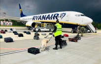 Vụ máy báy của Ryanair hạ cánh khẩn cấp: Belarus khẳng định tuân thủ quy định hàng không quốc tế