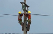 Điện lực Hải Phòng khắc phục sự cố lưới điện do bão số 2 gây ra