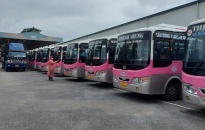 Vận tải hành khách công cộng bằng xe buýt trong thời dịch CoVid-19: Trước bờ vực phá sản