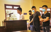 Phiên tòa xét xử vụ buôn bán hàng giả ống nhựa Thiếu Niên Tiền Phong tại tỉnh Hà Nam - Bốn bị cáo lĩnh án 126 tháng tù   