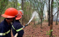 Tăng cường các biện pháp đảm bảo an toàn phòng cháy và chữa cháy rừng