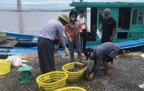 Điện lực Hải Phòng: Hỗ trợ tiêu thụ thủy sản nuôi tại Cát Bà