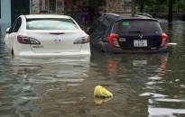 Hậu trận mưa lụt lịch sử tại Hải Phòng – nhìn từ tổn thất kinh tế dân sinh