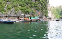 UBND TP ban hành kế hoạch hỗ trợ tháo dỡ các cơ sở nuôi trồng thủy sản trên các vịnh thuộc quần đảo Cát Bà