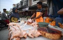 COVID-19 báo động Đông Nam Á cần hành động do lãng phí thực phẩm