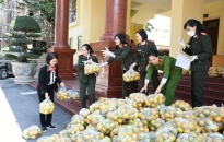 Hội phụ nữ Công an thành phố Hải Phòng hỗ trợ tiêu thụ 4 tấn cam cho bà con nông dân tỉnh Hưng Yên