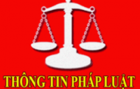 Sửa đổi Bộ luật Tố tụng hình sự để đáp ứng yêu cầu của Hiệp định CPTTP