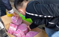 Công an quận Kiến An: Khởi tố đối tượng buôn bán 12,7 kg pháo 