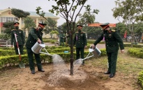 Bộ CHQS thành phố trồng gần 5 nghìn cây xanh sau Lễ phát động Tết trồng cây xuân Nhân Dần 2022