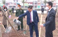 Đồng chí Nguyễn Văn Tùng, Chủ tịch UBND thành phố dự lễ phát động Tết trồng cây tại huyện Vĩnh Bảo