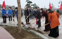 Bí thư Thành ủy Trần Lưu Quang dự lễ phát động trồng cây tại huyện An Dương