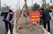 Phó chủ tịch UBND thành phố Nguyễn Đức Thọ dự lễ phát động Tết trồng cây Xuân Nhâm Dần 2022 tại quận Dương Kinh