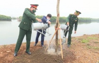 Huyện Cát Hải: Trồng 100 cây phượng nhân dịp Tết trồng cây Xuân Nhâm Dần 