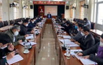 Huyện ủy Tiên Lãng: Triển khai công tác tạo nguồn, phát triển đảng viên mới trong các doanh nghiệp