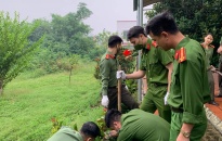 Tuổi trẻ quận Kiến An: Xung kích bảo vệ môi trường, ứng phó với biến đổi khí hậu