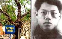 Đồng chí Tô Hiệu – Biểu tượng sáng ngời tinh thần cách mạng Việt Nam