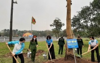 Hội Liên hiệp Phụ nữ thành phố phát động chương trình “Trồng cây xanh, phụ nữ Hải Phòng vun trồng tương lai”