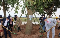 Khu công nghiệp Deep C:  Trồng 2.500 cây xanh tại Lễ hội trồng cây – PLANT YOUR TREE 2022