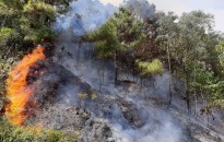 Tháng 4-2022, xảy ra 2 vụ cháy rừng