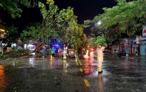 Đội CSGT-TT Công an quận Hồng Bàng: Phân luồng giao thông, dọn dẹp cây đổ trong mưa lớn
