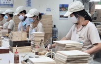BHXH Việt Nam triển khai hiệu quả các chính sách hỗ trợ người lao động  và doanh nghiệp gặp khó khăn do dịch Covid-19
