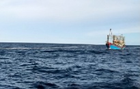 Đồn Biên phòng Bạch Long Vĩ: Cứu hộ tàu cá gặp nạn trên biển