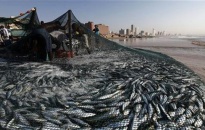 Mỹ đẩy mạnh hợp tác với Việt Nam chống đánh bắt cá trái phép