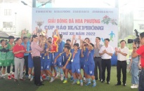Giải Bóng đá Hoa phượng - Cúp Báo Hải Phòng lần thứ XII năm 2022: Quận Ngô Quyền giành ngôi Quán quân