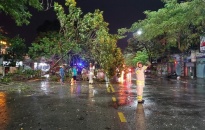 Quận Hồng Bàng tích cực phòng chống bão số 2