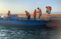Đồn Biên phòng Cát Bà: Huy động lực lượng, phương tiện tìm kiếm thuyền viên tàu NB-8133 mất tích trên biển 