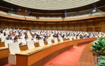 Quốc hội tham gia ý kiến vào các dự án Luật
