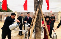 Huyện Thủy Nguyên phát động Tết trồng cây Xuân Quý Mão 2023
