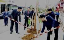 Quận Dương Kinh: Phát động Tết trồng cây Xuân Quý Mão năm 2023