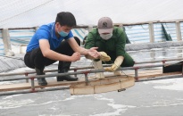 6 nhóm trách nhiệm, giải pháp trọng tâm nhằm gỡ “thẻ vàng” của EC đối với hải sản khai thác của Việt Nam