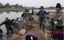 Đẩy mạnh phong trào “cùng nhau đánh chuột” tại xã Lưu Kỳ, huyện Thuỷ Nguyên