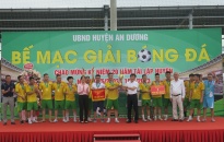 Giải bóng đá huyện An Dương năm 2023: Đội bóng xã Đồng Thái giành cúp vô địch