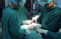 Trung tâm Y tế quân dân y huyện đảo Bạch Long Vĩ: Mổ cấp cứu ca mang thai ngoài tử cung 