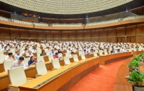 Quốc hội thảo luận vê Luật Bảo vệ người tiêu dùng (sửa đổi)