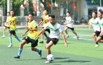 Giải bóng đá Hoa Phượng - Cúp Báo Hải Phòng lần thứ 13: Thu hút 32 đội bóng và gần 500 vận động viên tham gia 