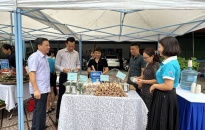 Hội chợ Quảng  bá sản phẩm thân thiện môi trường quận Ngô Quyền Thu hút 24 gian hàng với hàng trăm sản phẩm trưng bày