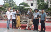 Hơn 1.000 cây cảnh hội tụ tại triển lãm sinh vật cảnh huyện An Dương 