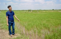 Nỗ lực “xanh hóa” đất đai của Hợp tác xã sinh thái 3 thôn ở xã Tú Sơn