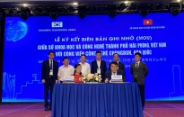 Kết nối doanh nghiệp đổi mới sáng tạo Việt Nam và Hàn Quốc