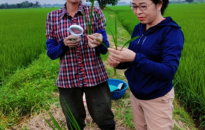 Huyện Vĩnh Bảo: Phát huy vai trò khuyến nông trong phát triển sản xuất nông nghiệp bền vững 