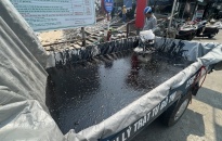 Chủ động phòng ngừa, ứng phó sự cố tràn dầu gây ô nhiễm môi trường biển Hải Phòng