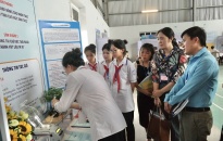 Cuộc thi KHKT dành cho học sinh trung học huyện Kiến Thụy: Sân chơi sáng tạo, bổ ích