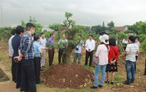 Hội Nông dân huyện An Dương: Đa dạng hóa các nguồn vốn giúp nông dân phát triển sản xuất, kinh doanh