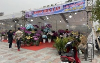 Chợ hoa Xuân Giáp Thìn 2024 sẽ diễn ra từ ngày 31/1 đến hết ngày 9/2/2024 tại Công viên An Dương