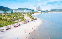 Quận Đồ Sơn: Phấn đấu thu hút 3,8 triệu lượt khách du lịch trong năm 2024