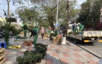 Trang trí hoa, cây cảnh các đường phố và dải trung tâm để phục vụ Nhân dân du xuân, đón Tết